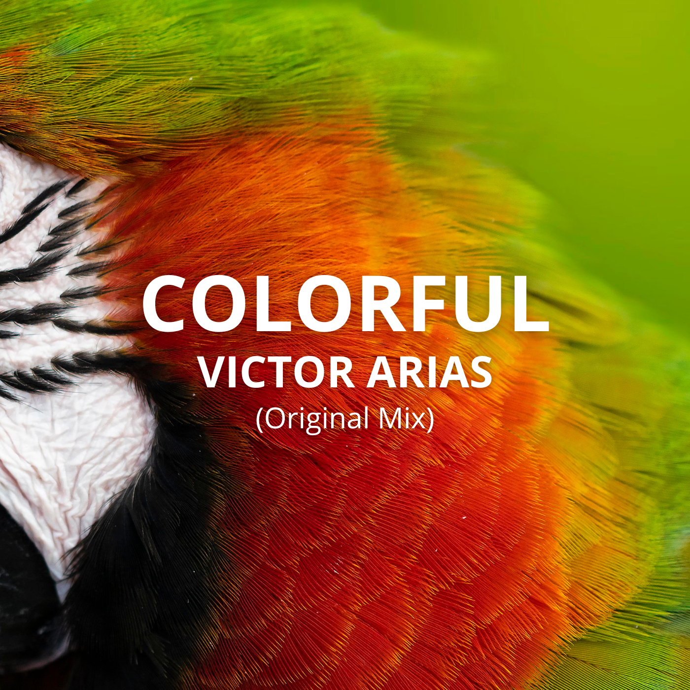 Victor Arias - Colorful (Original Mix png)